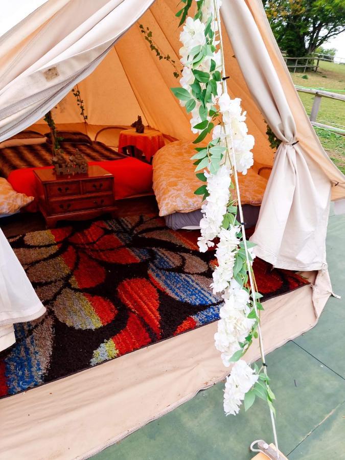 Walnut Tree Glamping Ξενοδοχείο Sturry Εξωτερικό φωτογραφία